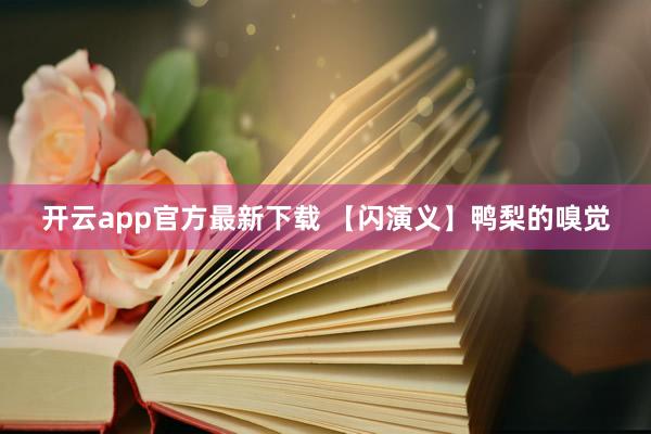 开云app官方最新下载 【闪演义】鸭梨的嗅觉