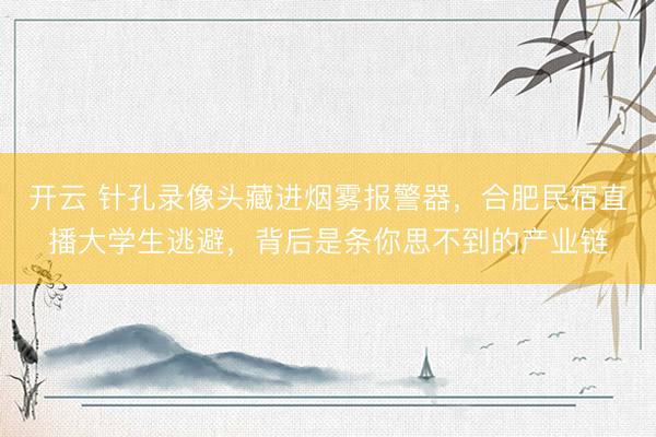 开云 针孔录像头藏进烟雾报警器，合肥民宿直播大学生逃避，<a href=